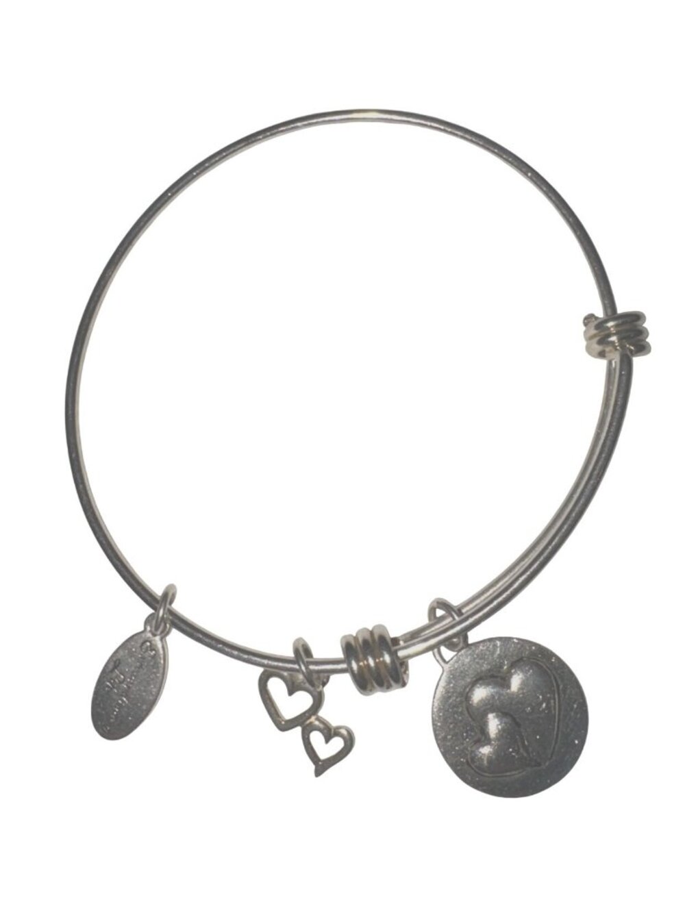 "Extraordinary Life" Always Sisters 925 Sterling Silver Adjustable Charm Bangle
